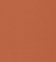 Allegra Fabric by Harlequin Rust Allegra Fabric by Harlequin Rust