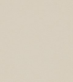 Allegra Fabric by Harlequin Shallow Allegra Fabric by Harlequin Shallow