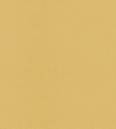 Allegra Fabric by Harlequin Straw Allegra Fabric by Harlequin Straw
