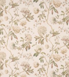 Alloway Fabric by Colefax and Fowler Ivory/Green Alloway Fabric by Colefax and Fowler Ivory/Green