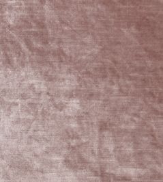 Allure Fabric by Clarke & Clarke Blush Allure Fabric by Clarke & Clarke Blush
