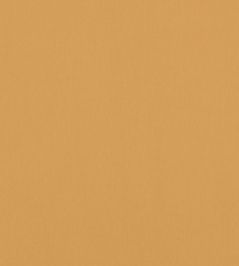 Alto Velvet Fabric by Thibaut Honey Alto Velvet Fabric by Thibaut Honey