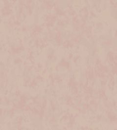 Alumina Wallpaper by Villa Nova Plaster Alumina Wallpaper by Villa Nova Plaster