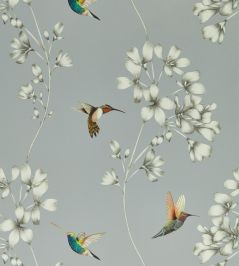 Amazilia Wallpaper by Harlequin French Grey / Stone Amazilia Wallpaper by Harlequin French Grey / Stone