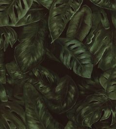 Amazon Wallpaper by Rebel Walls Fern Amazon Wallpaper by Rebel Walls Fern
