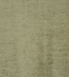 Anderson Fabric by Prestigious Textiles Basil Anderson Fabric by Prestigious Textiles Basil