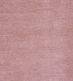 Anderson Fabric by Prestigious Textiles Shell Anderson Fabric by Prestigious Textiles Shell