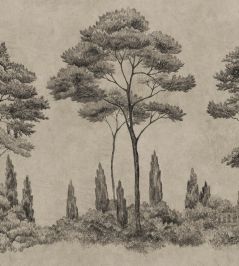 Andrea Mural by Sandberg Graphite Andrea Mural by Sandberg Graphite