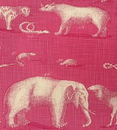 Kingdom Fabric by Andrew Martin Paradise Kingdom Fabric by Andrew Martin Paradise
