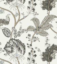 Kalamkari Vine Wallpaper by Anna French Black and White Kalamkari Vine Wallpaper by Anna French Black and White