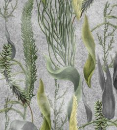 Aquatic Plants Wallpaper by MINDTHEGAP Grey Aquatic Plants Wallpaper by MINDTHEGAP Grey