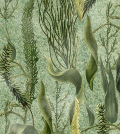 Aquatic Plants Wallpaper by MINDTHEGAP Green Aquatic Plants Wallpaper by MINDTHEGAP Green