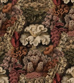 Aquila Wallpaper by Rebel Walls Rust Aquila Wallpaper by Rebel Walls Rust