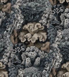 Aquila Wallpaper by Rebel Walls Teal Aquila Wallpaper by Rebel Walls Teal