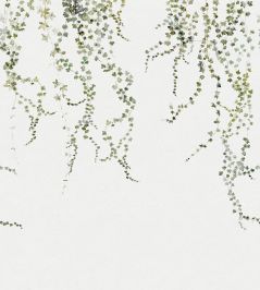 Aralia Mural by Sandberg Moss Green Aralia Mural by Sandberg Moss Green