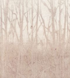 Arbor Wallpaper by Arte Amarena Arbor Wallpaper by Arte Amarena