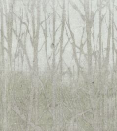 Arbor Wallpaper by Arte Forest Arbor Wallpaper by Arte Forest