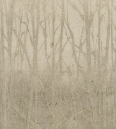 Arbor Wallpaper by Arte Mocha Arbor Wallpaper by Arte Mocha