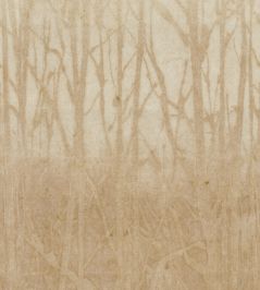 Arbor Wallpaper by Arte Saffron Arbor Wallpaper by Arte Saffron