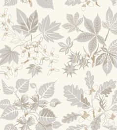 Arboretum Wallpaper by Borastapeter Beige Arboretum Wallpaper by Borastapeter Beige