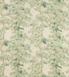 Arbour Fabric by Colefax and Fowler Forest Green Arbour Fabric by Colefax and Fowler Forest Green