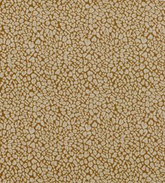 Arcata Fabric by Clarke & Clarke Gold Arcata Fabric by Clarke & Clarke Gold