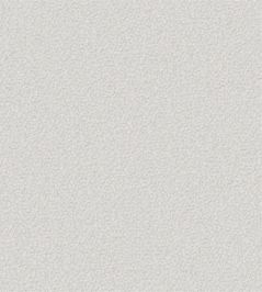 Aria Fabric by Designers Guild Platinum Aria Fabric by Designers Guild Platinum