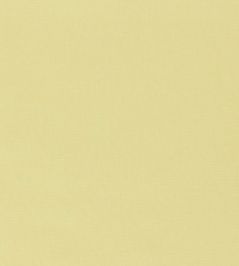 Ario Wide Width Fabric by Harlequin Buttermilk Ario Wide Width Fabric by Harlequin Buttermilk