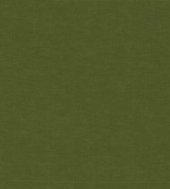Ario Wide Width Fabric by Harlequin Fern Ario Wide Width Fabric by Harlequin Fern