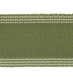 Arlington Wide Braid Trimming by Colefax and Fowler Leaf Green Arlington Wide Braid Trimming by Colefax and Fowler Leaf Green