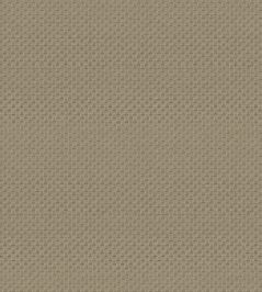 Pantheon Wallpaper by Armani Casa 9241 Pantheon Wallpaper by Armani Casa 9241