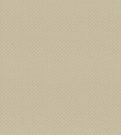 Pantheon Wallpaper by Armani Casa 9242 Pantheon Wallpaper by Armani Casa 9242