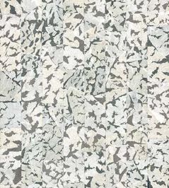 Armoured Boar Wallpaper by Moooi Black & White Armoured Boar Wallpaper by Moooi Black & White