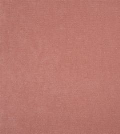 Arona Fabric by Designers Guild Blossom Arona Fabric by Designers Guild Blossom