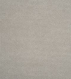 Arona Fabric by Designers Guild Dove Arona Fabric by Designers Guild Dove