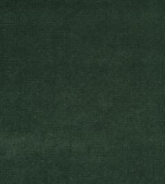 Arona Fabric by Designers Guild Fir Arona Fabric by Designers Guild Fir