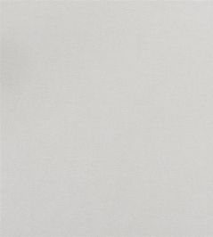 Arona Fabric by Designers Guild Platinum Arona Fabric by Designers Guild Platinum