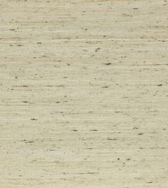 Arrowroot Wallpaper by Mark Alexander Pale Celadon Arrowroot Wallpaper by Mark Alexander Pale Celadon