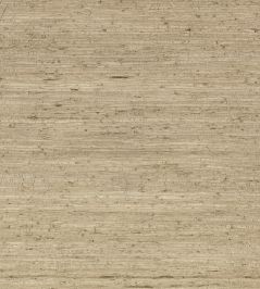 Arrowroot Wallpaper by Mark Alexander Parchment Arrowroot Wallpaper by Mark Alexander Parchment