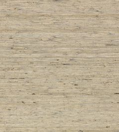 Arrowroot Wallpaper by Mark Alexander Tempest Arrowroot Wallpaper by Mark Alexander Tempest