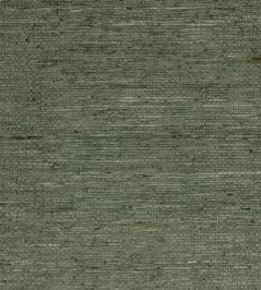 Arrowroot Wallpaper by Mark Alexander Typhoon Arrowroot Wallpaper by Mark Alexander Typhoon