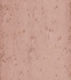 Stellar Wallpaper by Arte 3 Stellar Wallpaper by Arte 3
