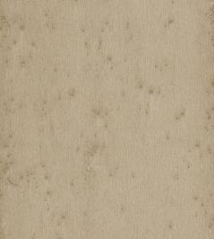 Stellar Wallpaper by Arte 9 Stellar Wallpaper by Arte 9