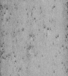Stellar Wallpaper by Arte 11 Stellar Wallpaper by Arte 11