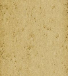 Stellar Wallpaper by Arte 16 Stellar Wallpaper by Arte 16