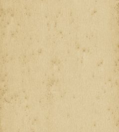 Stellar Wallpaper by Arte 18 Stellar Wallpaper by Arte 18