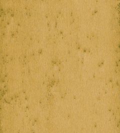 Stellar Wallpaper by Arte 19 Stellar Wallpaper by Arte 19