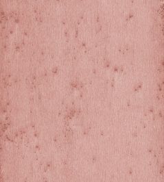 Stellar Wallpaper by Arte 20 Stellar Wallpaper by Arte 20