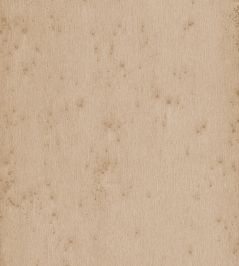 Stellar Wallpaper by Arte 21 Stellar Wallpaper by Arte 21