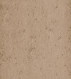 Stellar Wallpaper by Arte 22 Stellar Wallpaper by Arte 22